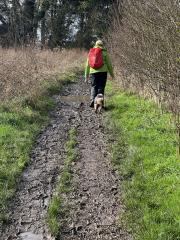 Muddy section, going round the Solent Breezes Holiday Park